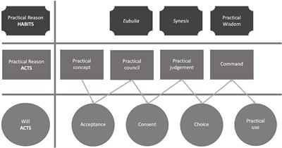 Person-Centered Leadership: The Practical Idea as a Dynamic Principle for Ethical Leadership